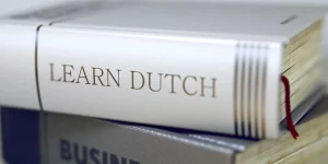 Nederlands leren: een leidraad voor gevorderden