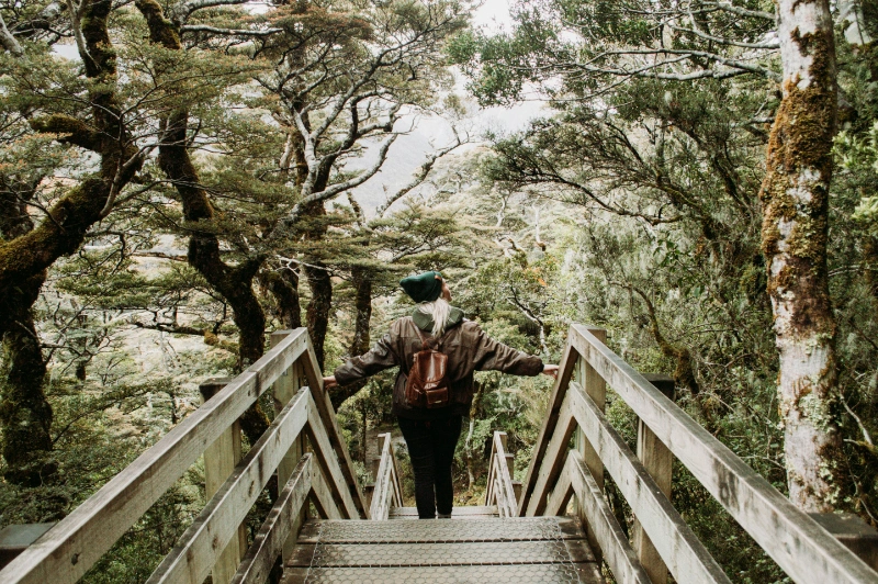 Natuurlijk NZ reizen